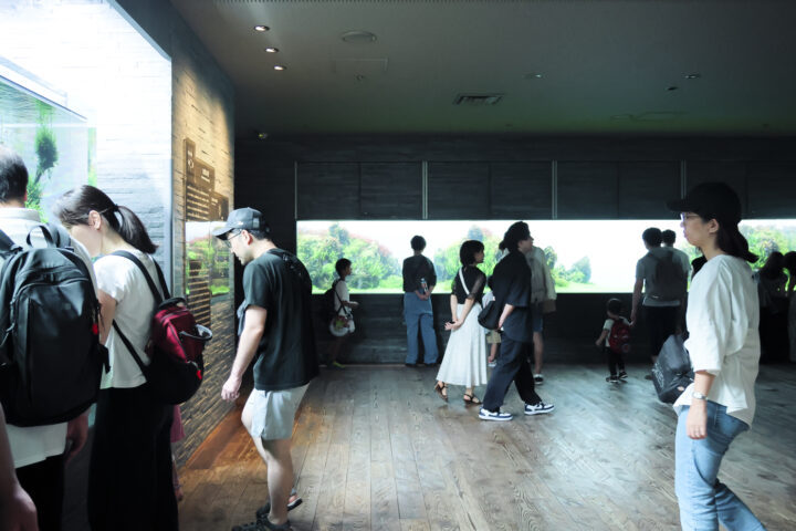 Sumida Aquarium - Lycoris Recoil Pilgrimage Spot/Real Life Location　from Anime すみだ水族館　リコリスリコイル聖地　