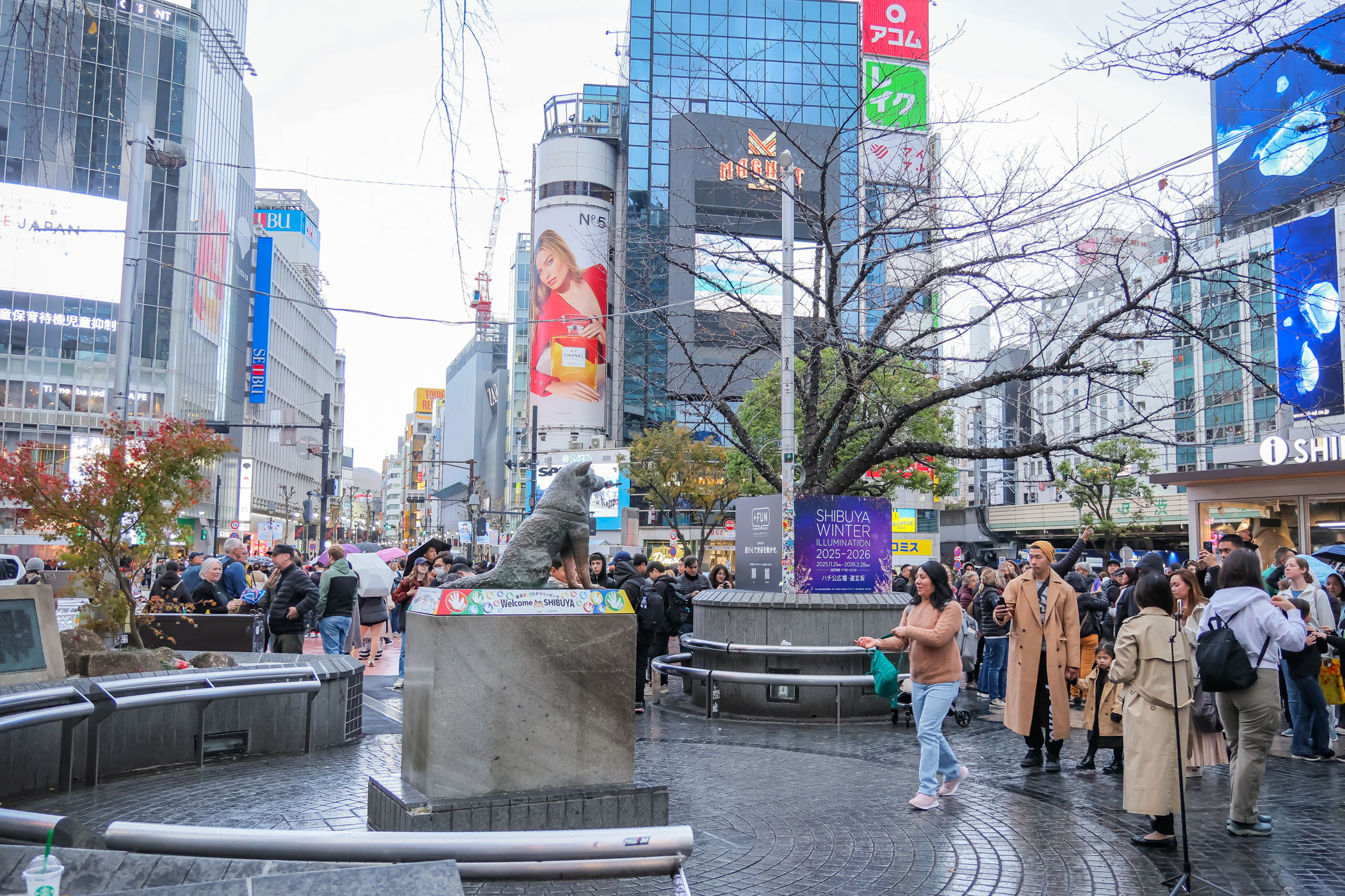 hachi -　The Dangers in My Heart Pilgrimage Spot/Real Life Location　from Anime